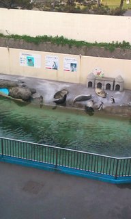 110620_1833~01.jpg