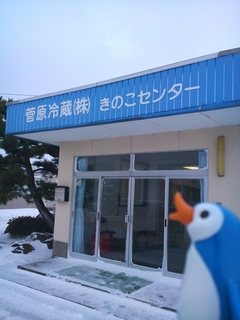 SN3N0003.jpg