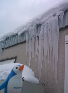 penginblog.bmp